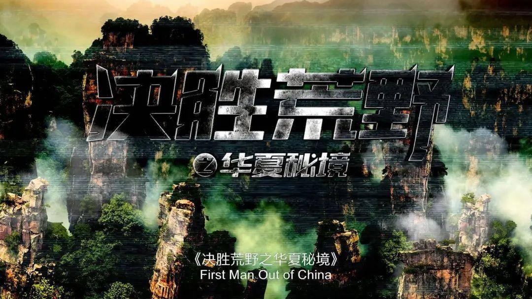 电视剧《半是蜜糖半是伤》是一部什么类型题材剧?-专业红迪网平台